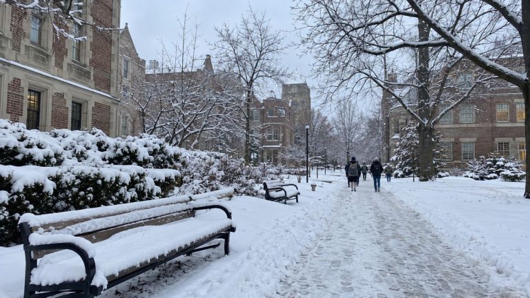 下雪後的加拿大校園步道